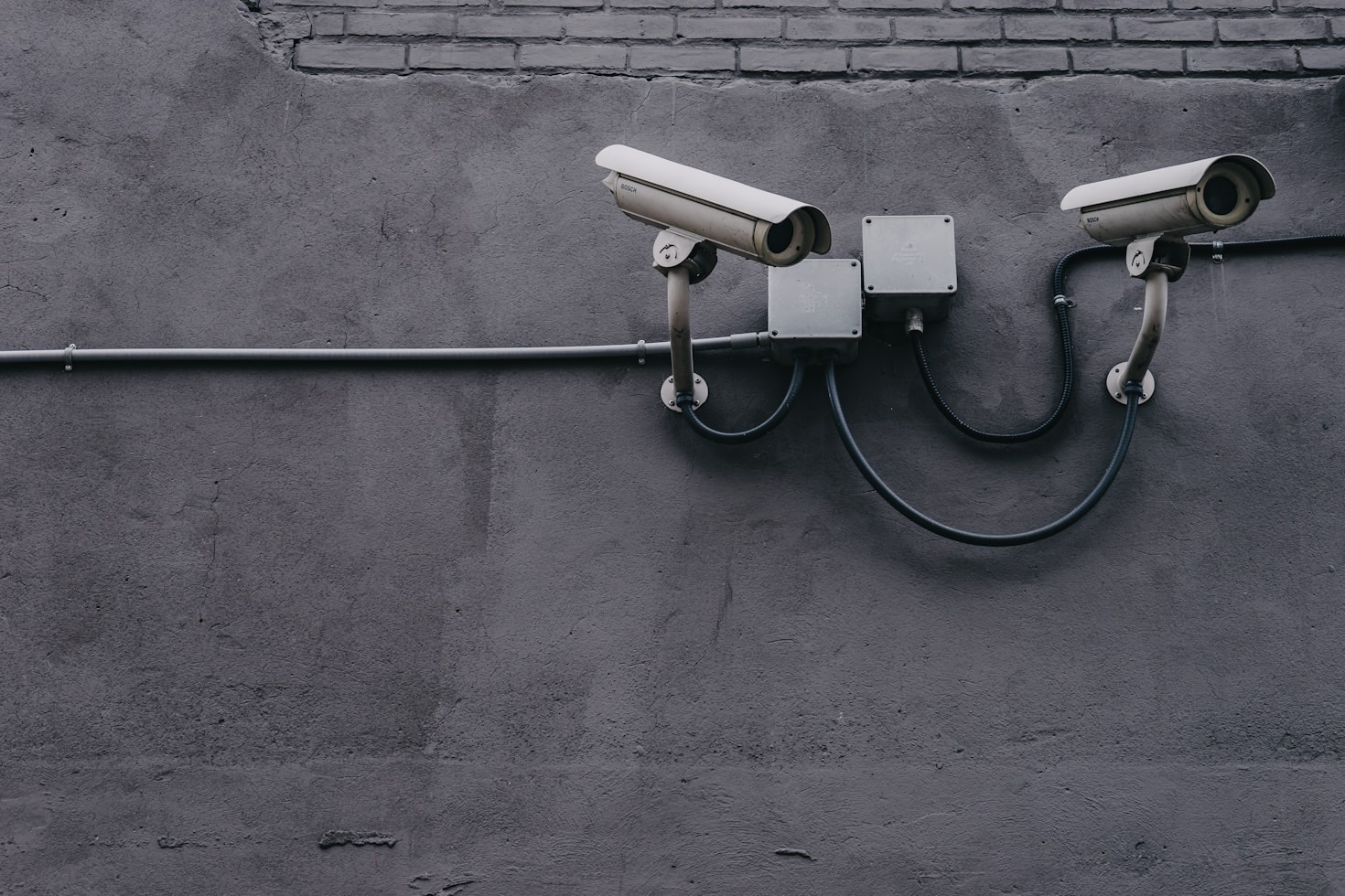 Top Reasons Your Business Needs Professional Security